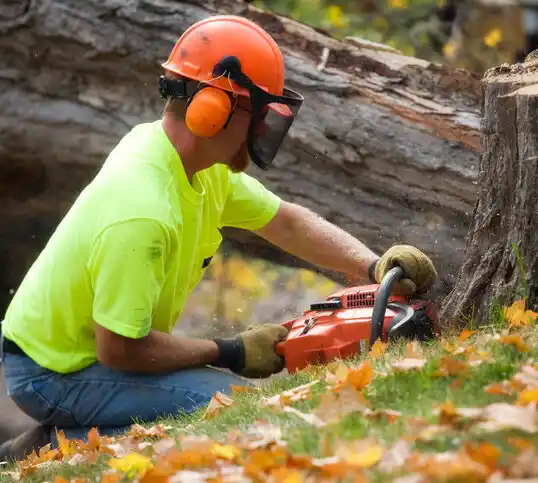 tree services Red Chute